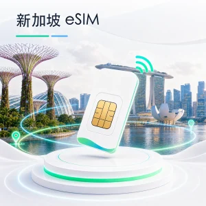 新加坡 eSIM 流量套餐
