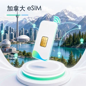 加拿大 eSIM 流量套餐